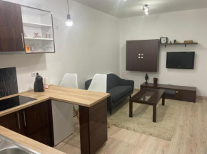 Apartament centrul vechi